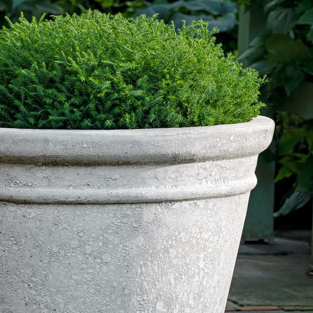 Jardinera Marchand || Coral Blanco