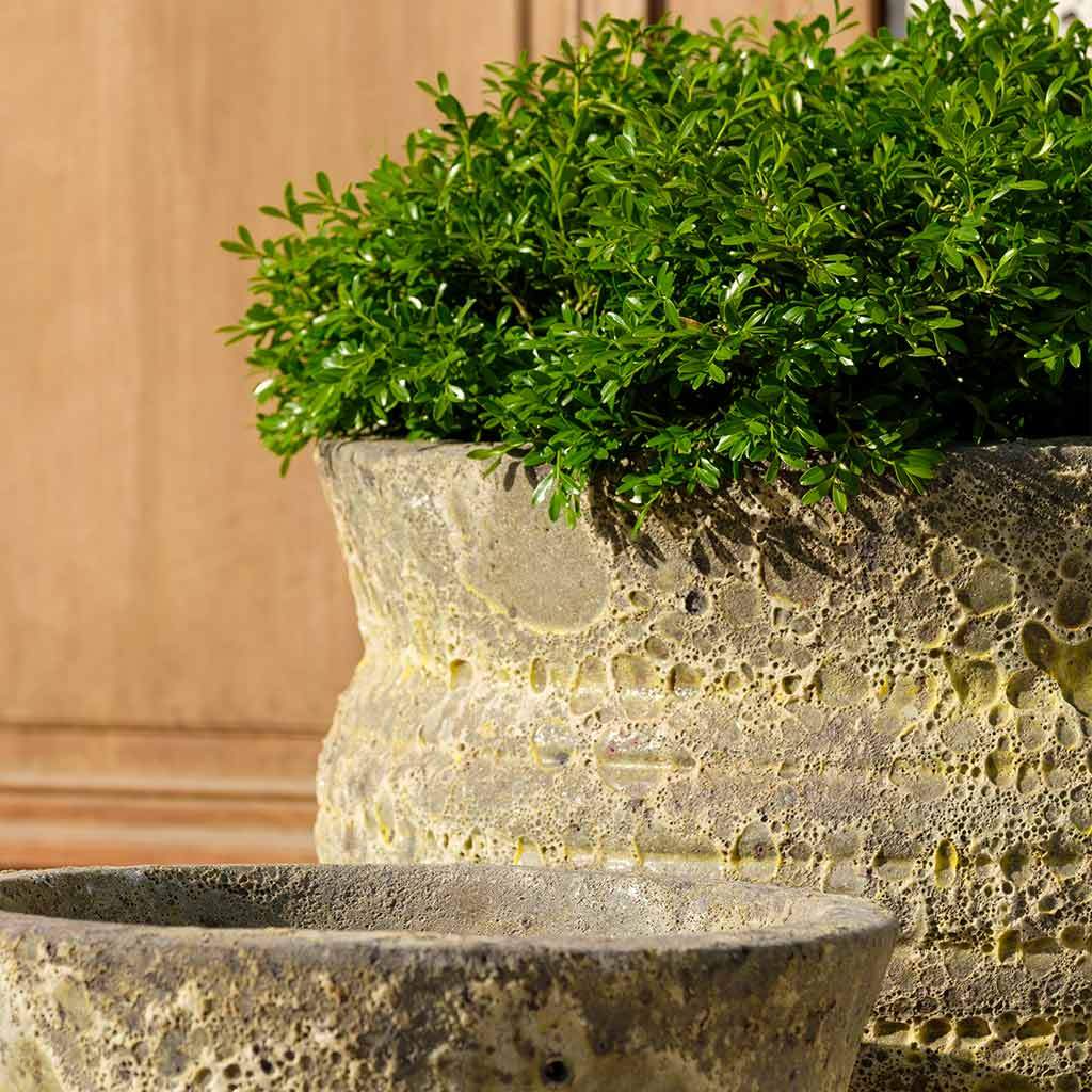 Courances Planter || Angkor Yellow