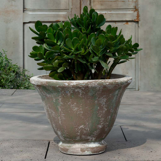 Jacqueline Urn || Murano Fresco