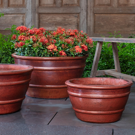 Mera Planter || Brunello