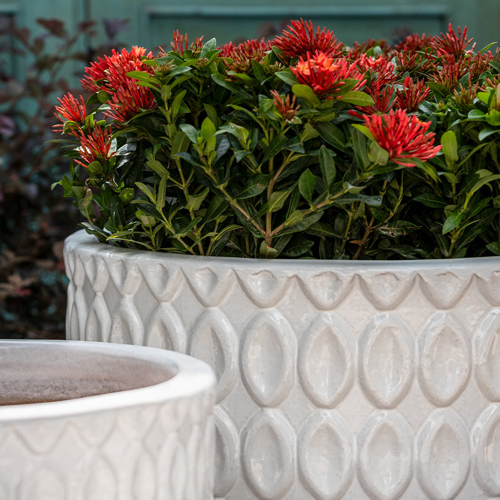 Oriel Planter, Low || Antique White