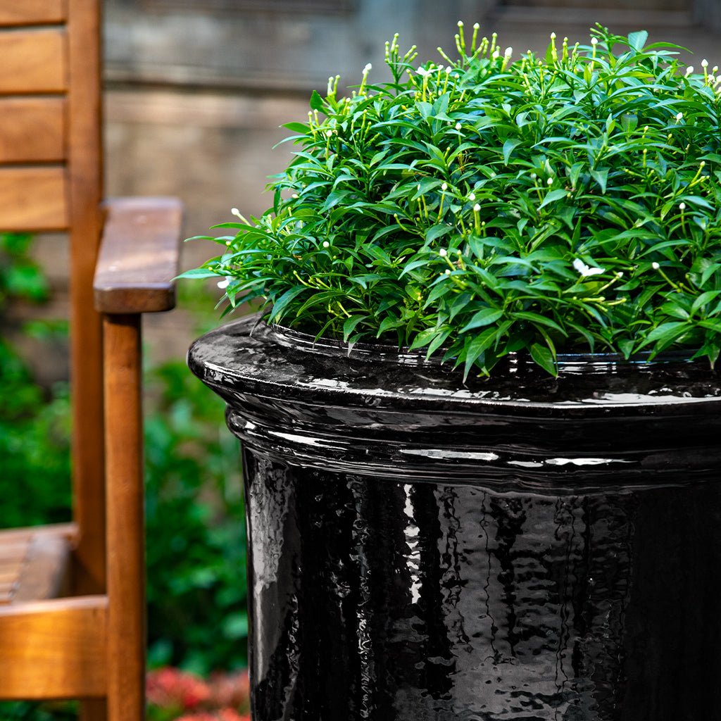 Vaucluse Urn || Obsidian
