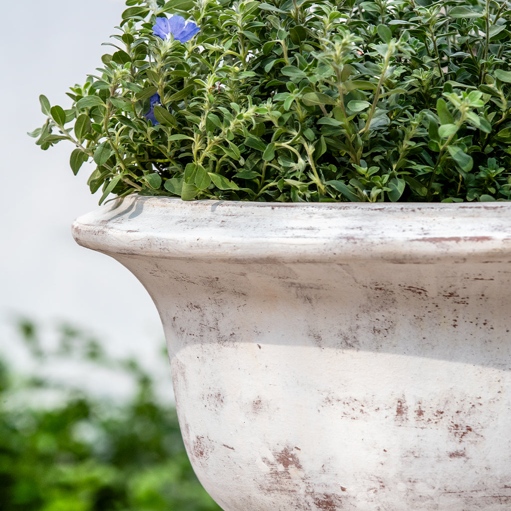 Margaux Urn || Whitewash