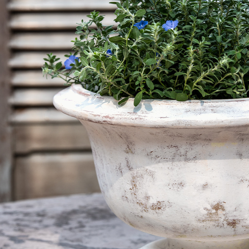 Margaux Urn || Whitewash