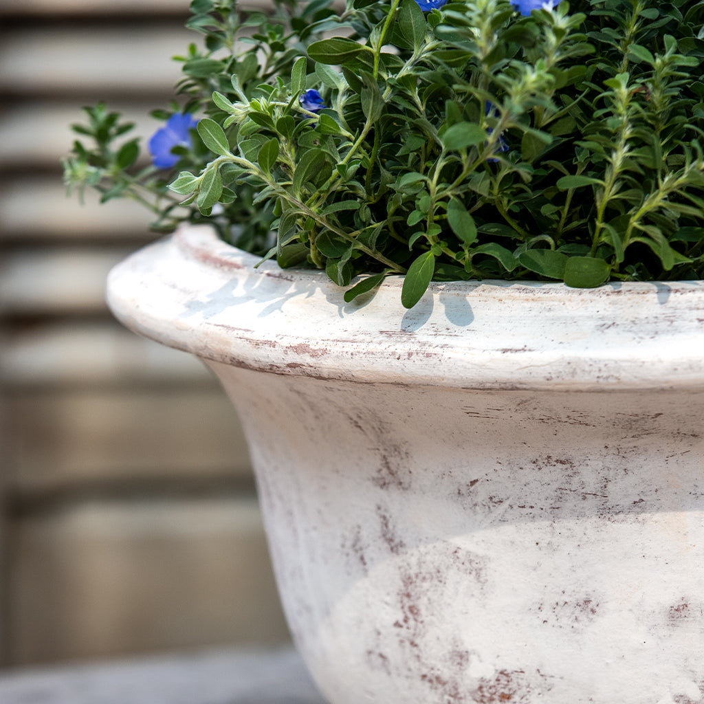Margaux Urn || Whitewash