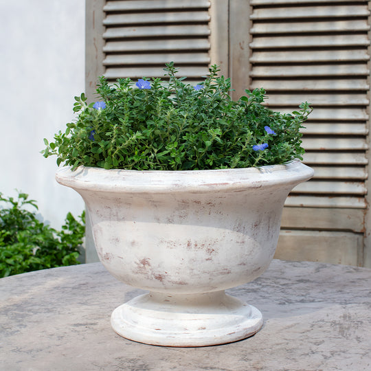 Margaux Urn || Whitewash