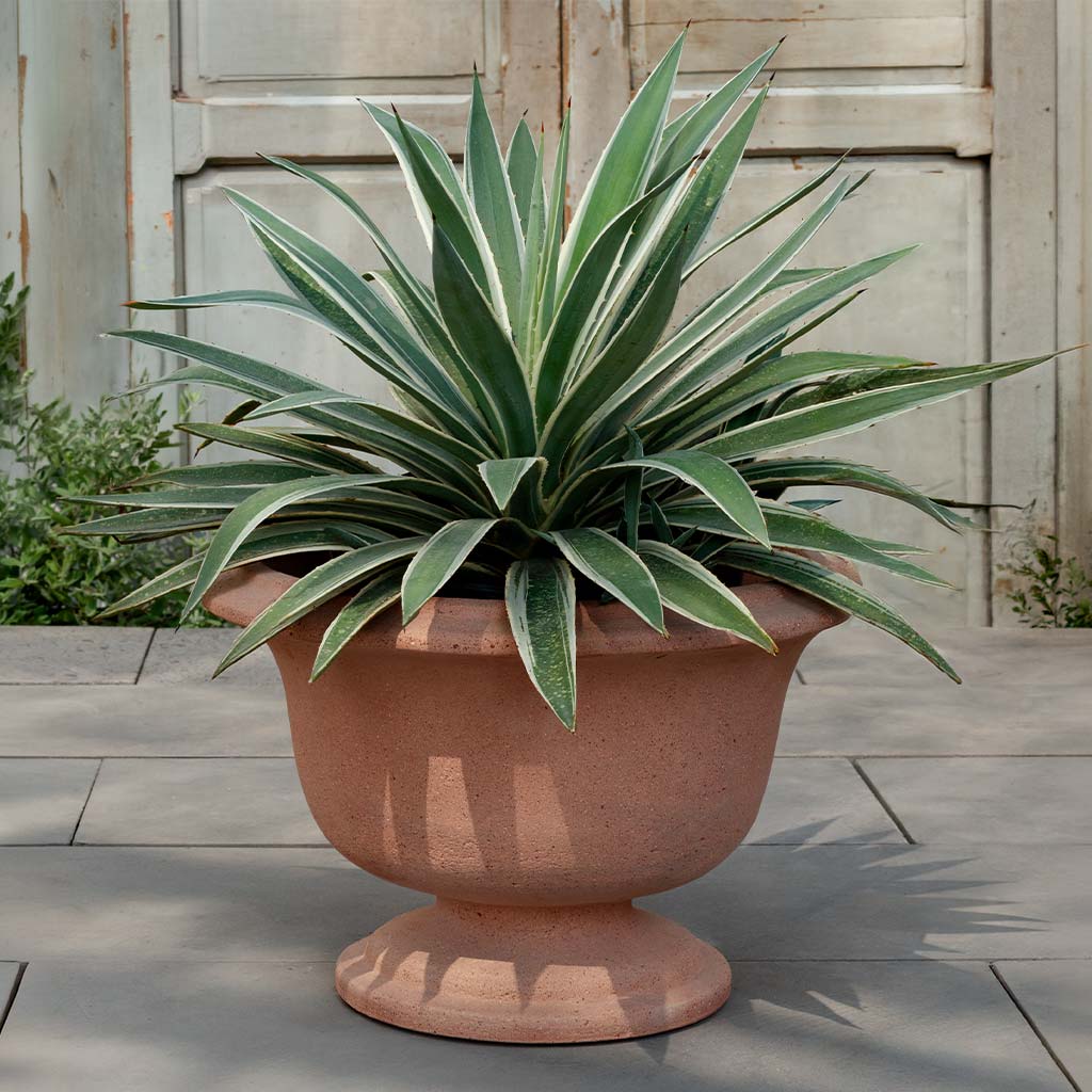 Margaux Urn || Sandblasted