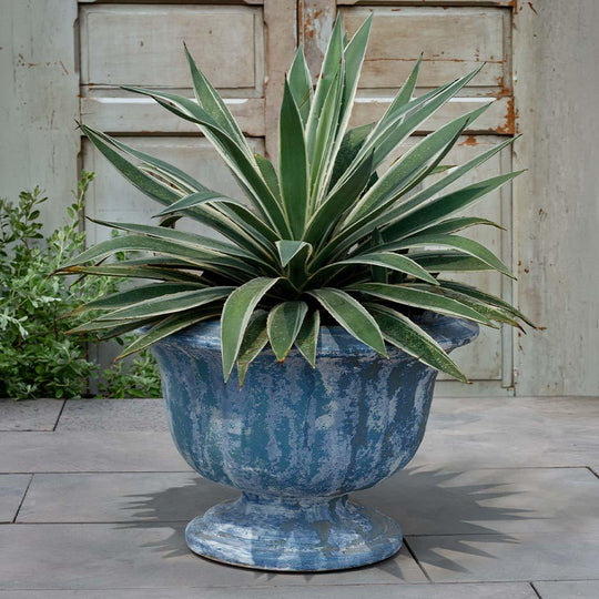 Margaux Urn || Murano Cielo
