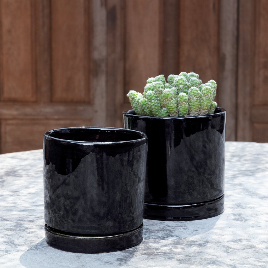 Avon Planter, Small || Obsidian