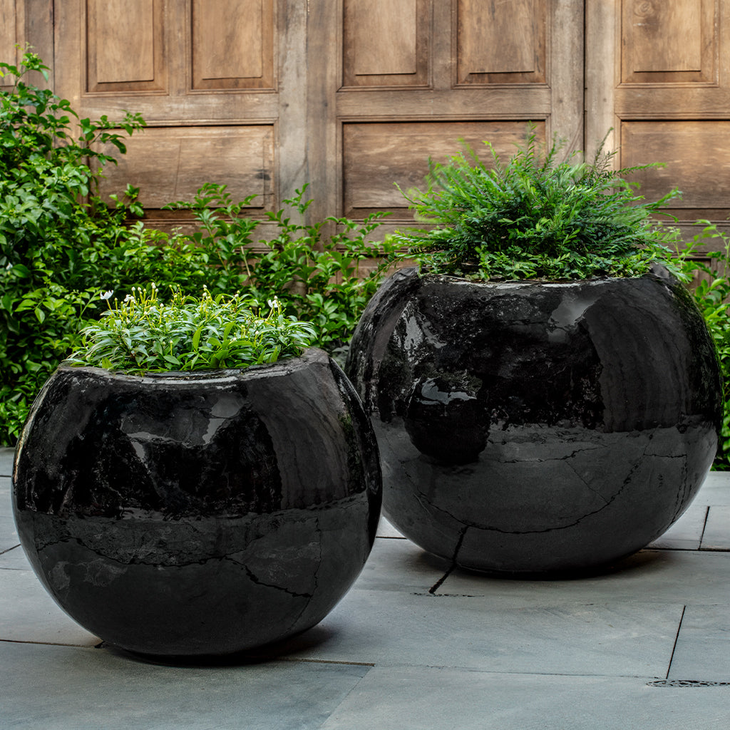 Le Monde Planter || Obsidian