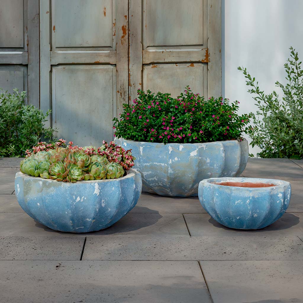 Paraeus Bowl || Murano Cielo