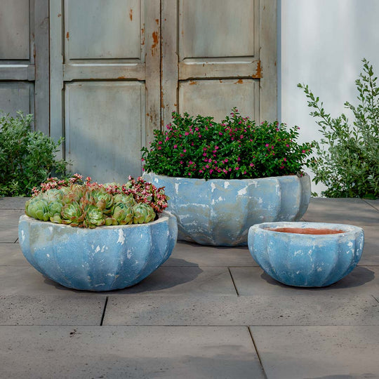 Paraeus Bowl || Murano Cielo