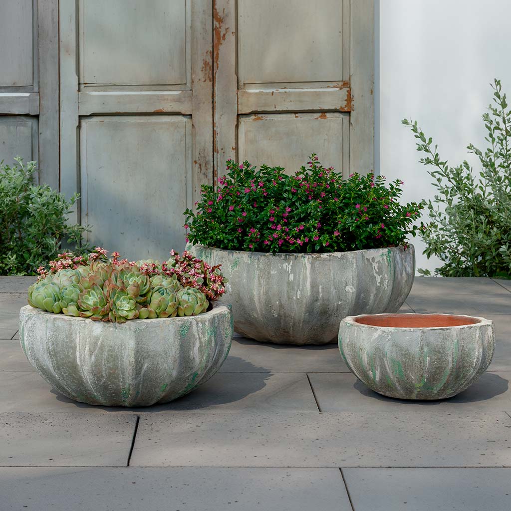 Paraeus Bowl || Murano Fresco