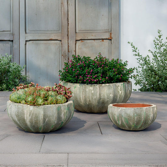 Paraeus Bowl || Murano Fresco