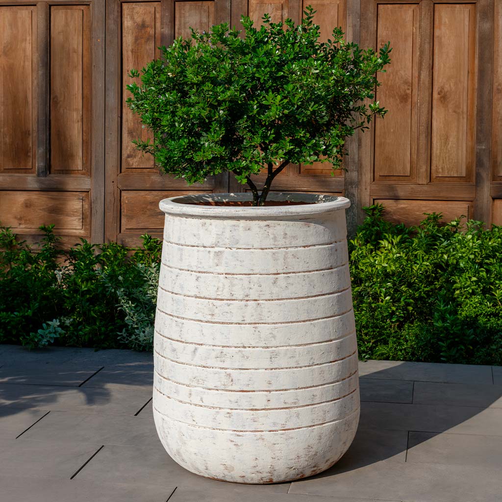Ventoux Planter, Tall || Whitewash