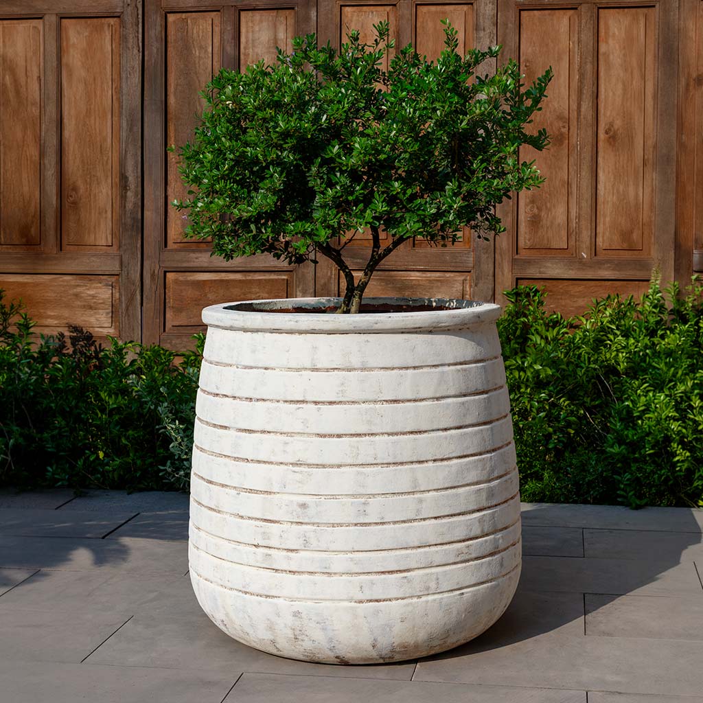 Ventoux Planter || Whitewash