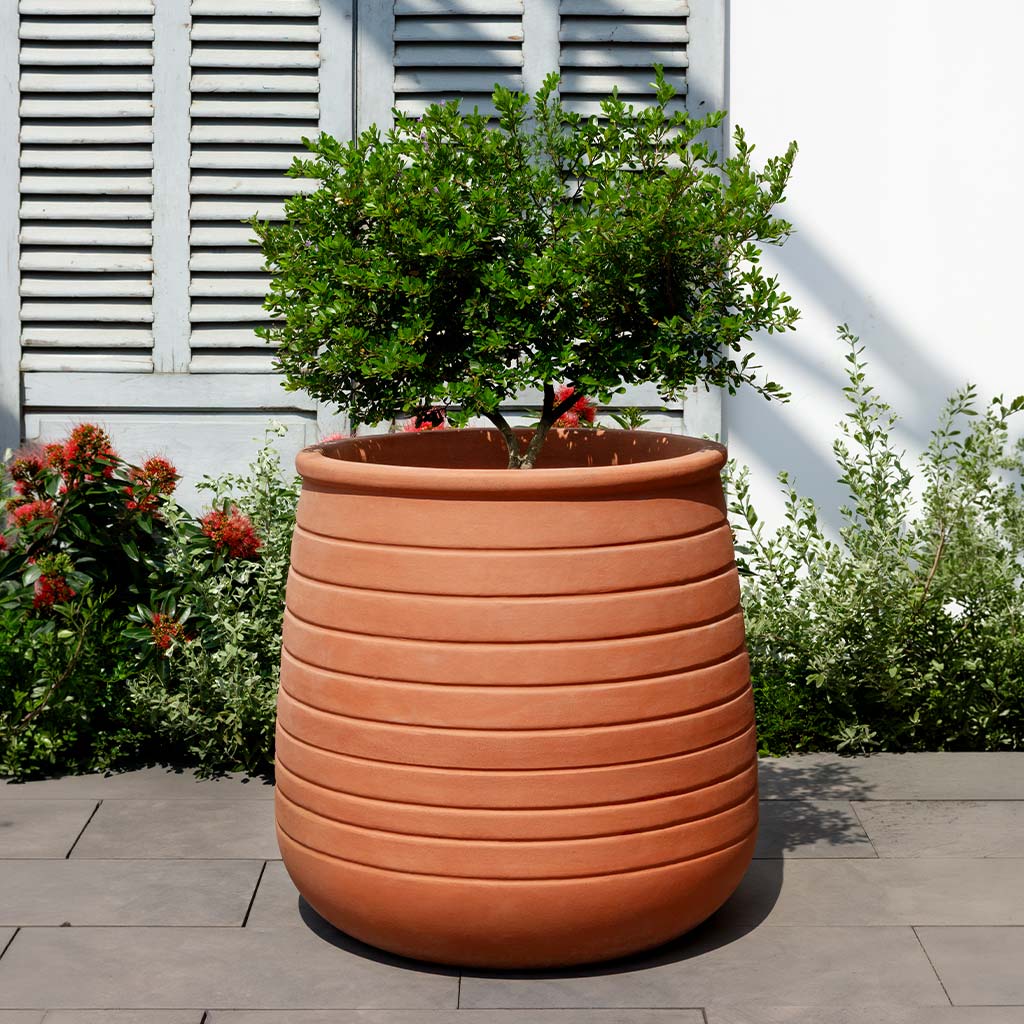 Ventoux Planter || Terra Cotta
