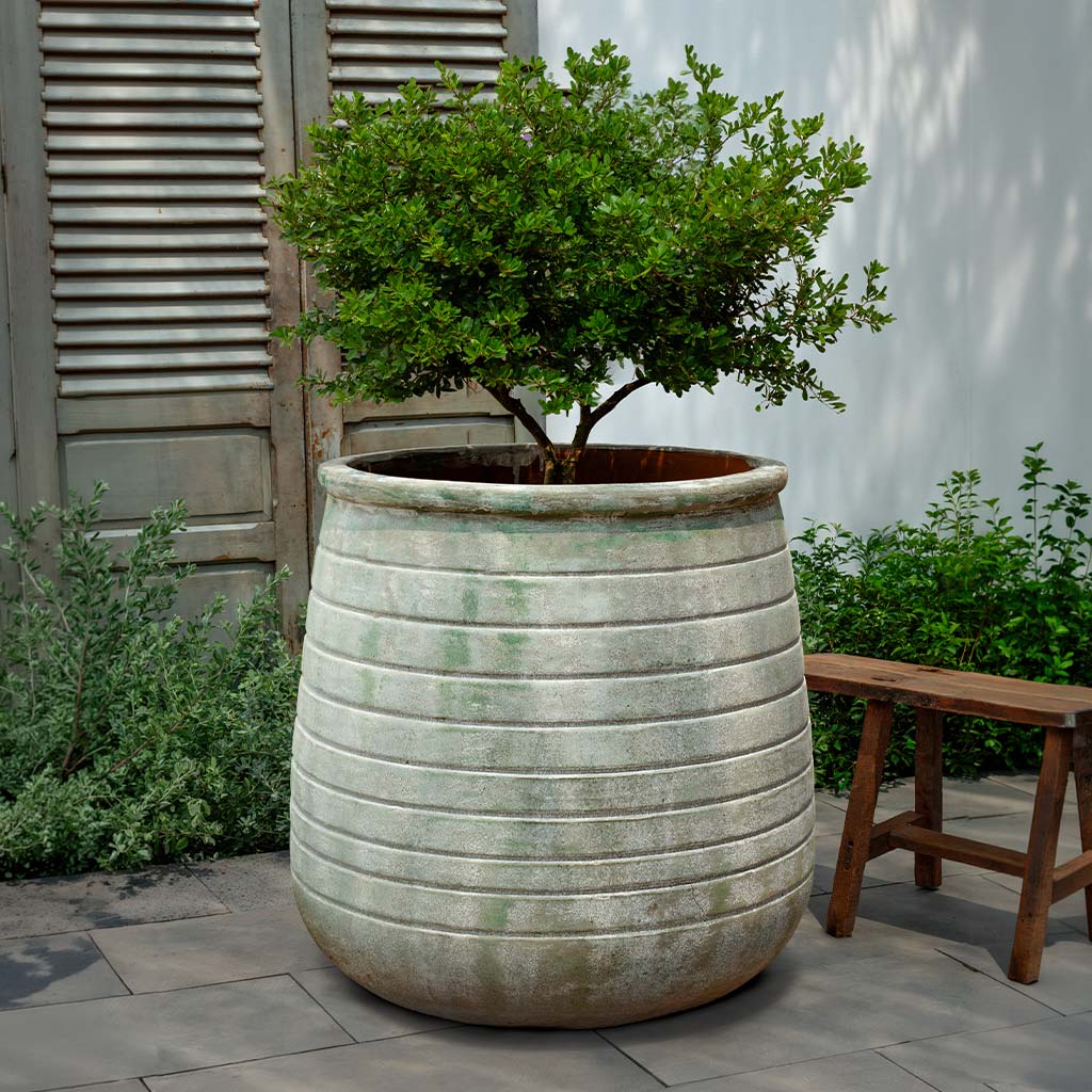 Ventoux Planter || Murano Fresco