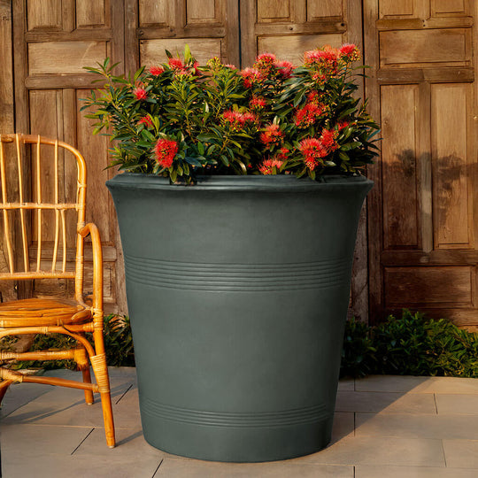 Las Palmeras Planter || Graphite