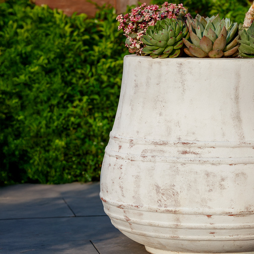 Citron Planter || Whitewash