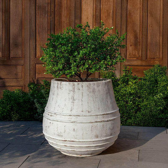 Citron Planter || Whitewash