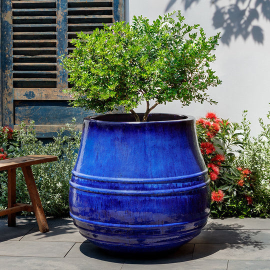 Citron Planter || Riviera Blue