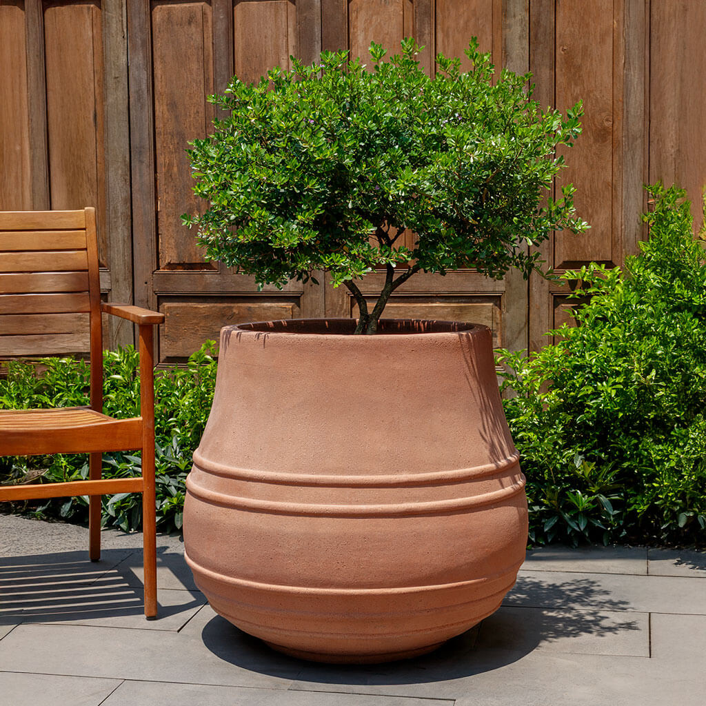 Citron Planter || Sandblasted