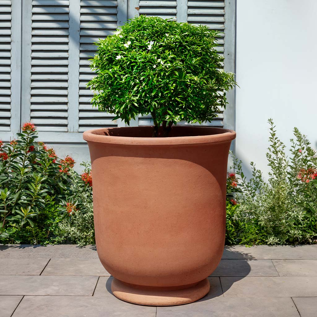 St. Germain Planter || Terra Cotta
