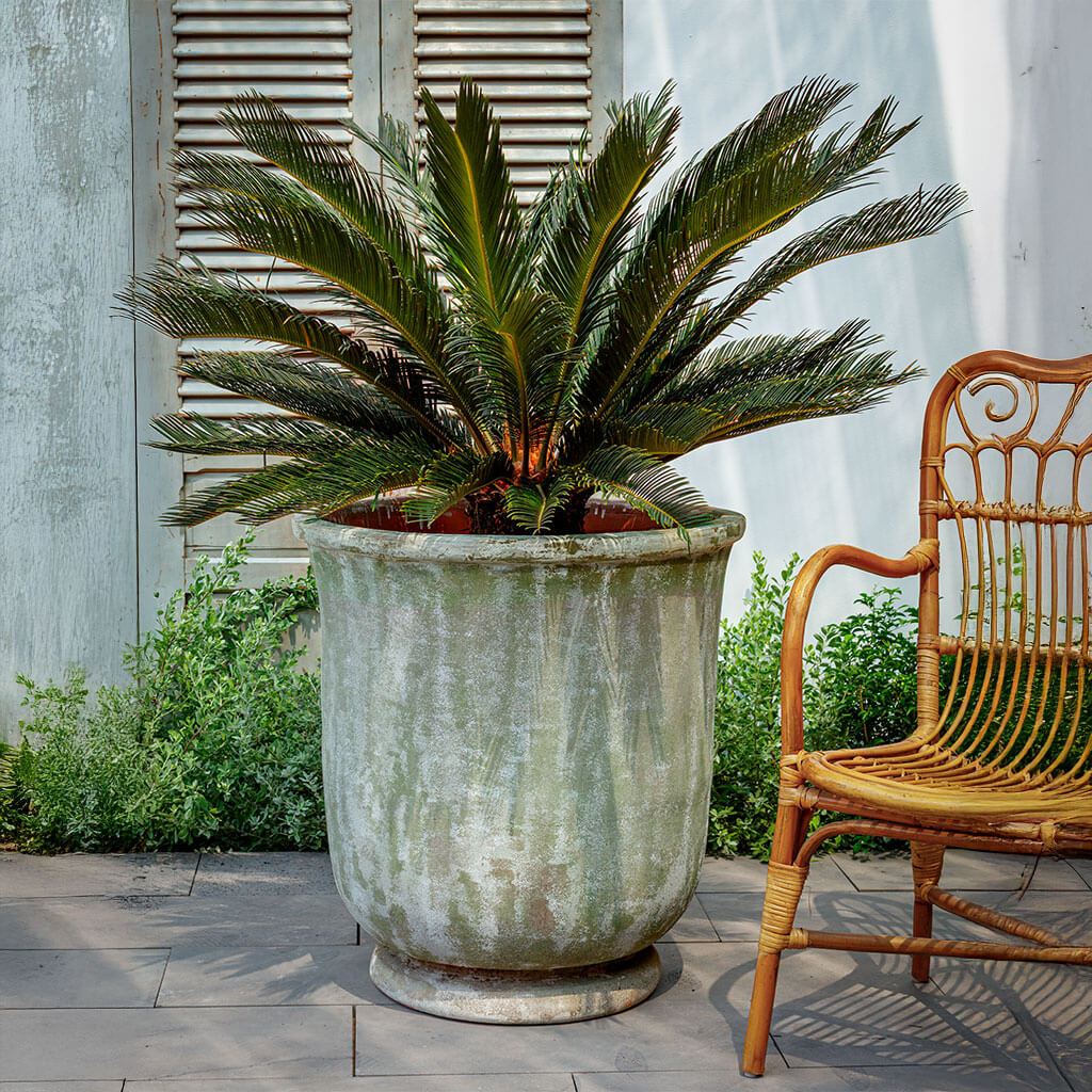 St. Germain Planter (see color variant images) || Murano Fresco