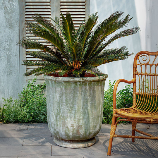 St. Germain Planter || Murano Fresco