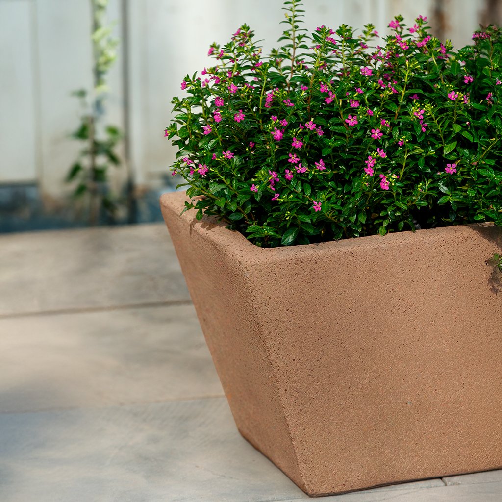 Chelsea Window Box || Sandblasted