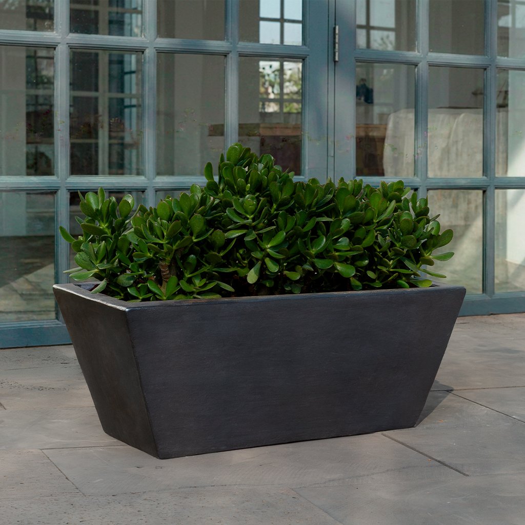 Chelsea Window Box || Ash