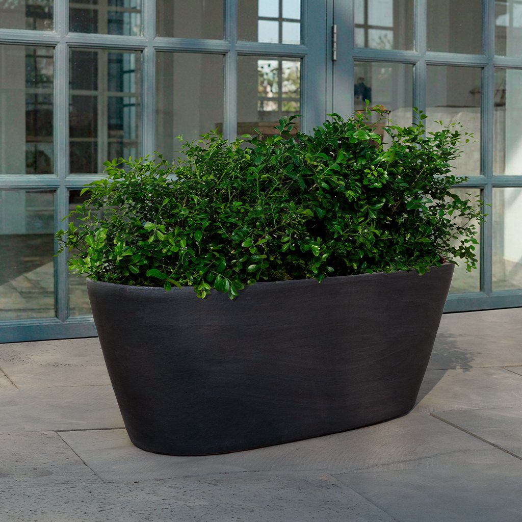 Chelsea Oval Window Box || Ash