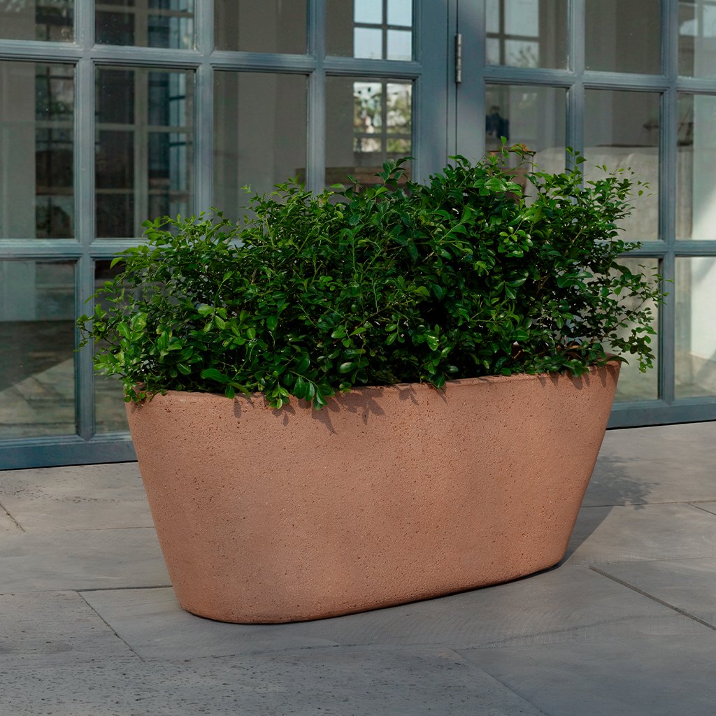 Chelsea Oval Window Box || Sandblasted