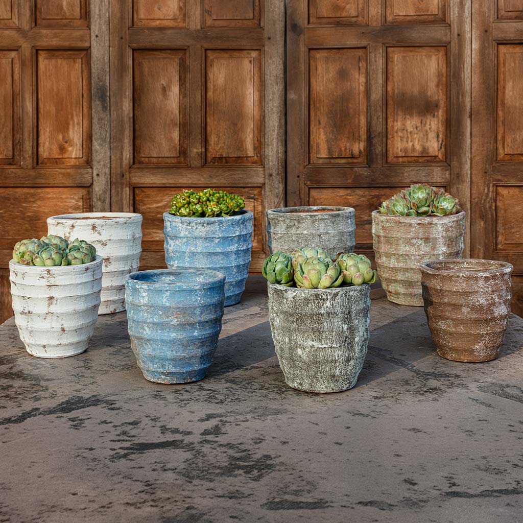Bronto Planter || Assorted Murano