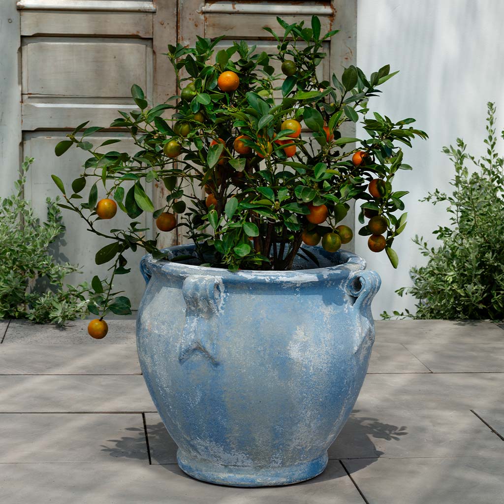 Round Handle Planter || Murano Cielo