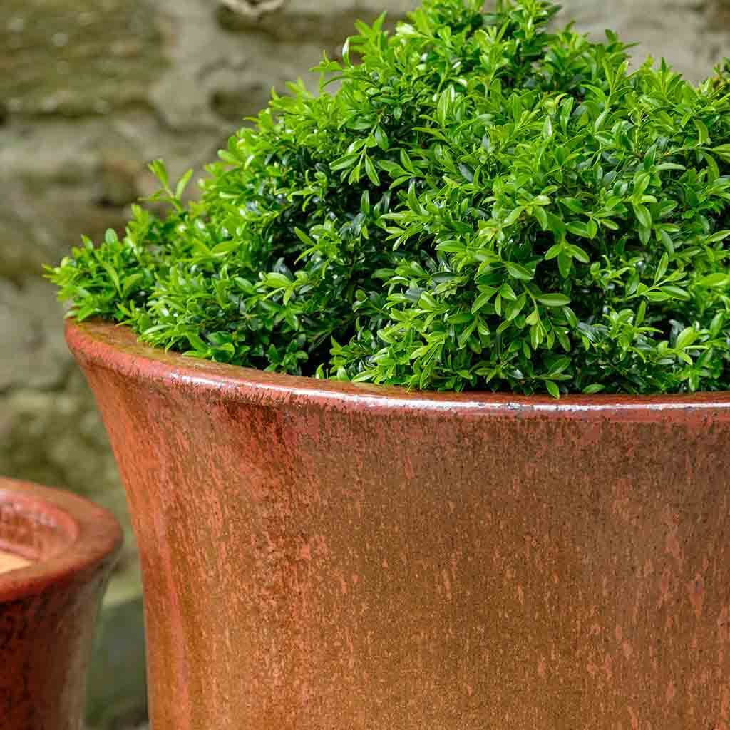 Campana Planter || Volcanic Red
