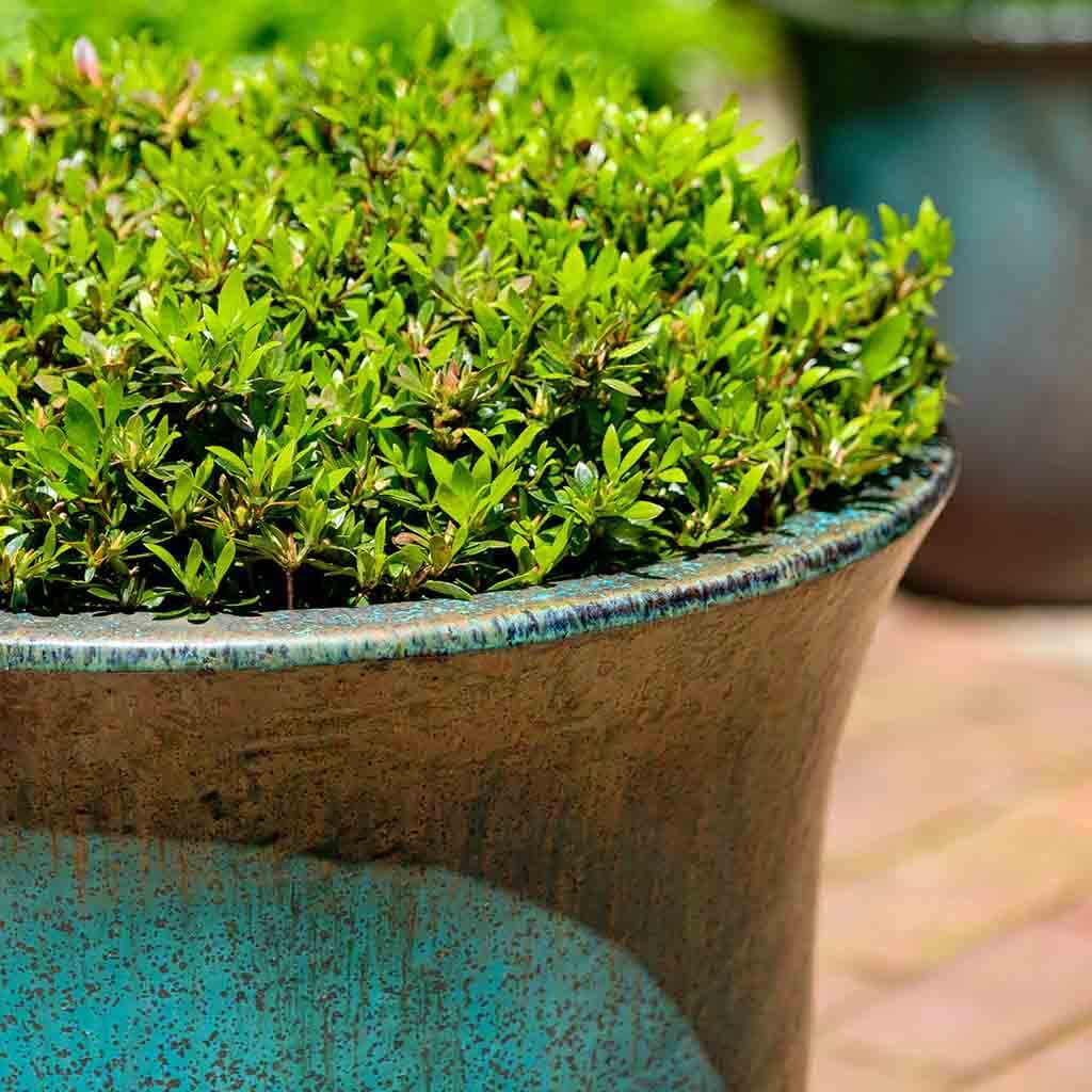 Campana Planter || Weathered Copper.