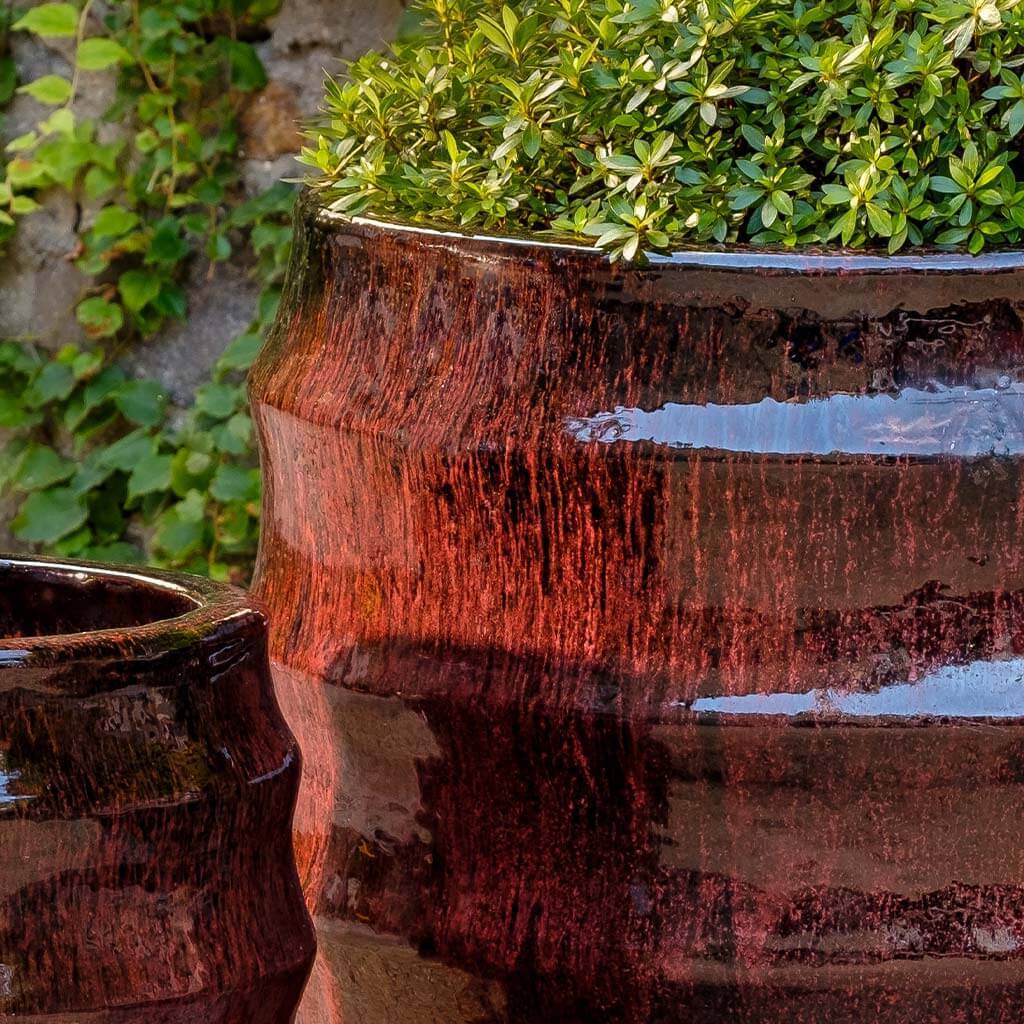 Jardinera Pomerol || Burdeos