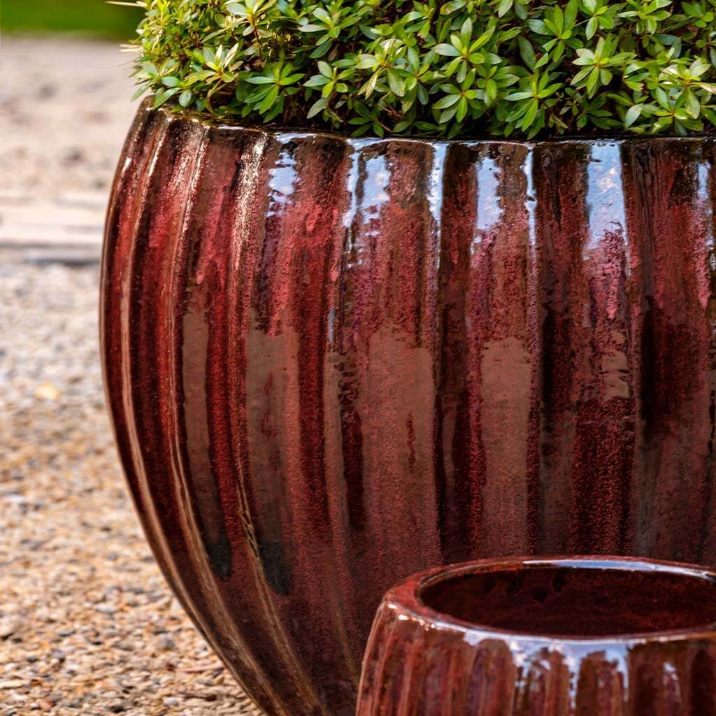 Jardinera Cabernet || Burdeos