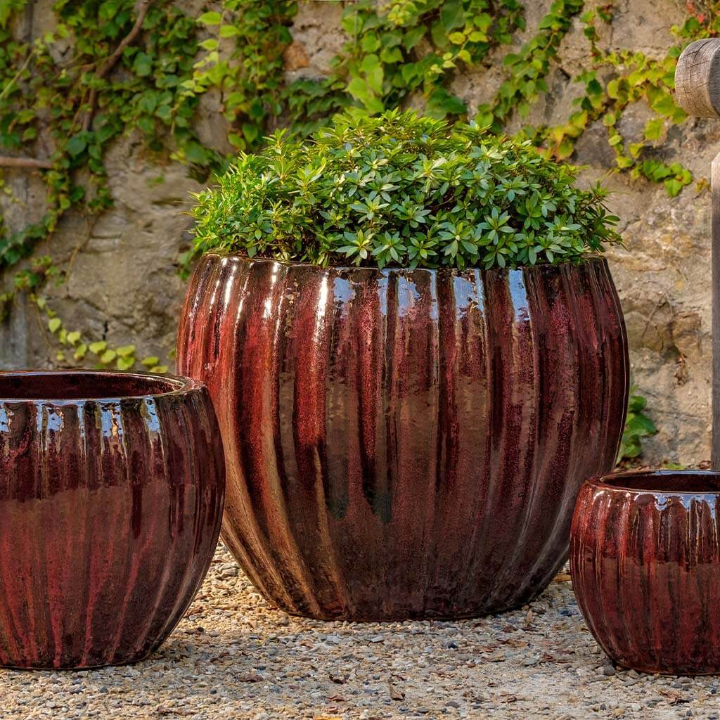 Jardinera Cabernet || Burdeos