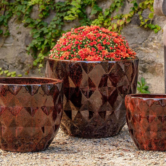Castillon Planter || Bordeaux
