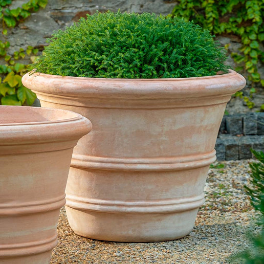 Klassischer Doppel Rollrand Pflanztopf 69cm || Terrakotta
