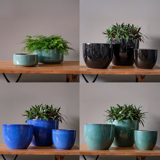 Small Gas Kiln Assortment || Mixed